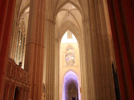 Pierres en Lumières 2026 en l'Abbatiale de la Sainte-Trinité à FECAMP