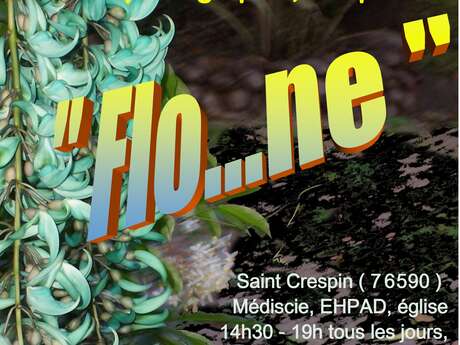 Exposition à Mediscie - "Flo...ne"