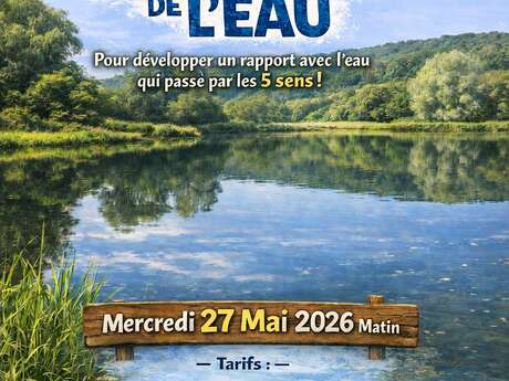 Découverte sensible de l'eau