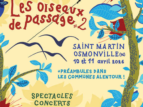 Festival les Oiseaux de Passage