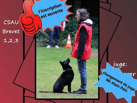 Concours d'obéïssance du Club Canin