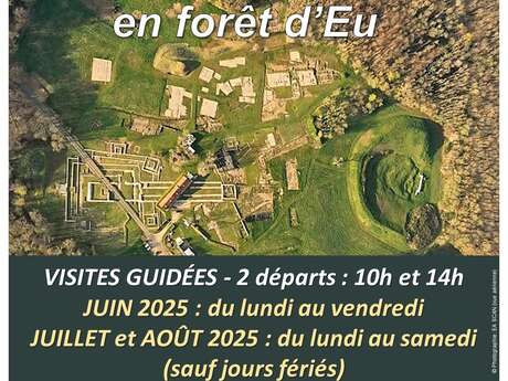 Visite guidée du site archéologique BRIGA
