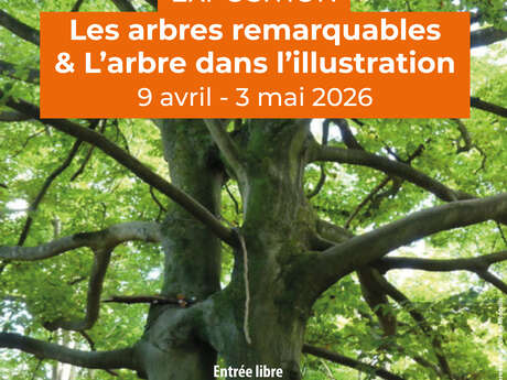 Exposition : Les arbres remarquables et l'arbre dans l'illustration