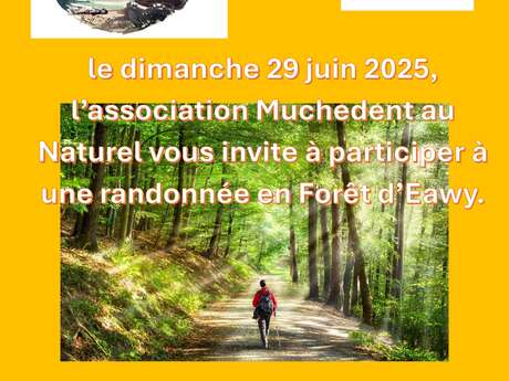 Randonnée en Forêt d'Eawy