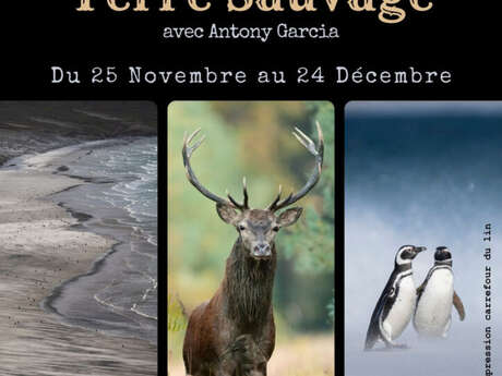 Expo Photo - "Rendez-vous en Terre Sauvage"