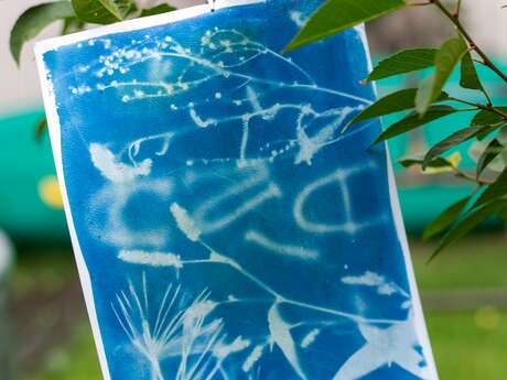 Atelier cyanotype enfants