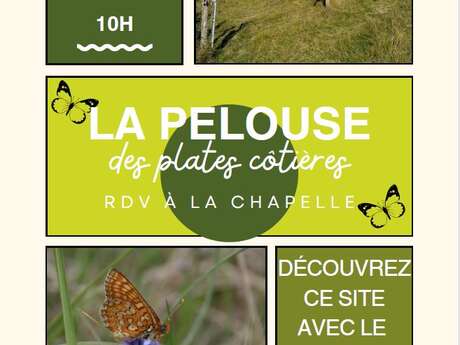 La Pelouse des plates côtières La Pelouse des plates côtières