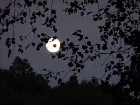 Animation nature - grand jeu nature