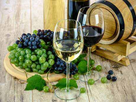 Dégustation de vins de Bourgogne