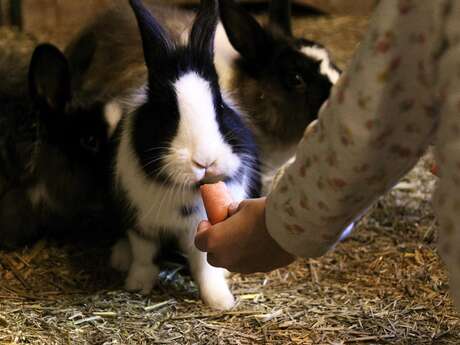 Atelier éveil à la ferme