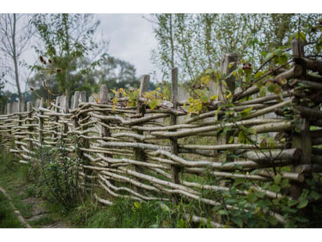 Atelier de l’Ethnothèque : clayonnage et fascinage