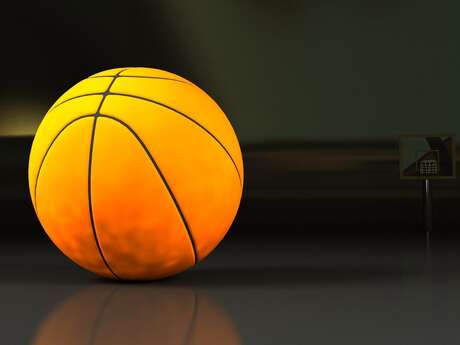 Activité sportive : poull ball