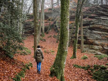 Randonnée à Serqueux