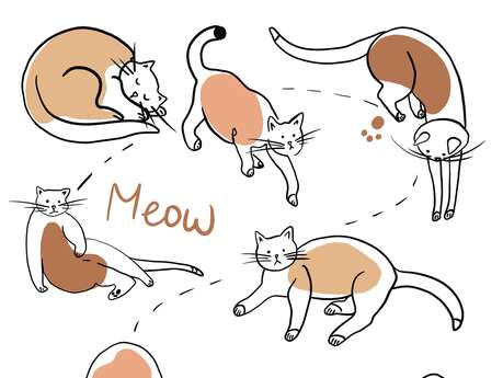 Exposition : "L'été du Chat : Femme et Chat"