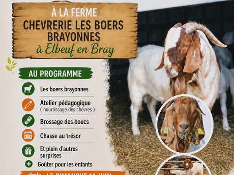 Sortie à la chèvrerie Les Boers Brayonnes