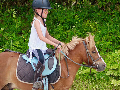 Stage de Noël à poney