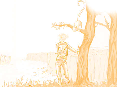 [Fiction sonore] Pourquoi n'y a-t-il plus de chats à Veules-les-Roses ?