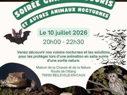 Soirée chauves-souris et autres animaux nocturnes