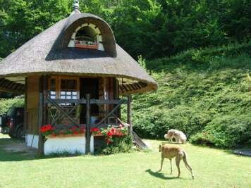 Gîte Forestier