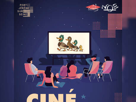 Ciné plein air (projection du film Migration)