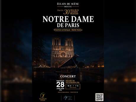 Concert Notre Dame de Paris