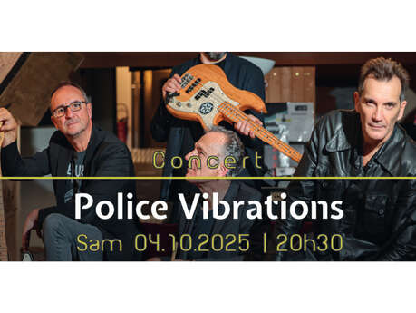 Police Vibrations