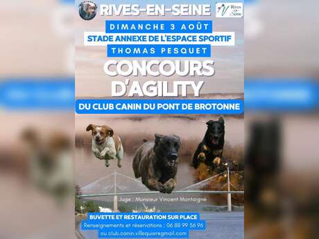 Concours d'agility