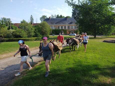 Randonnée de rentrée avec les ânes