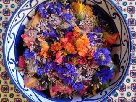 Balade cueillette et cuisine de plantes sauvages comestibles