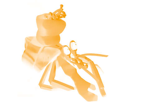 [Musique & Marionnettes] Coquille Diamant