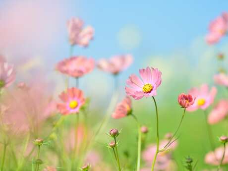 Atelier petite enfance - le jardin