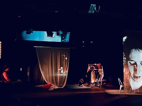 Théâtre : Comme la chienne
