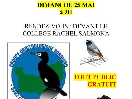 Découverte des oiseaux du Jardin