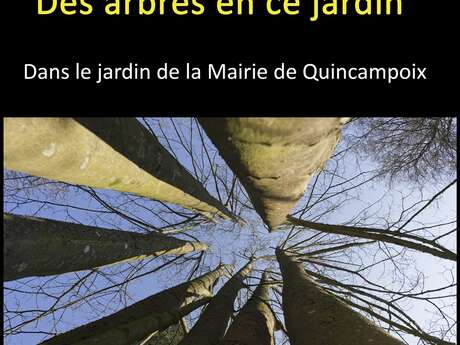 Exposition photo : Des arbres en ce jardin