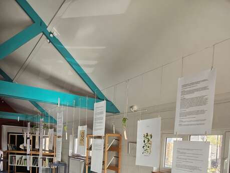 Exposition : les plantes sauvages