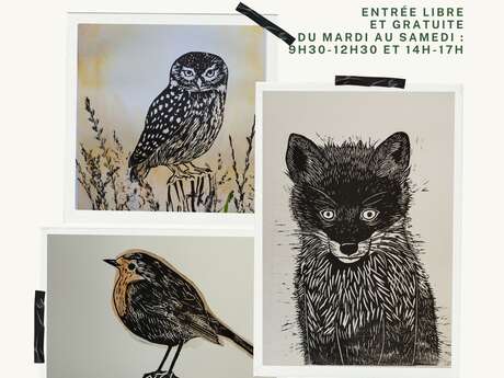 Exposition : Contempler le vivant