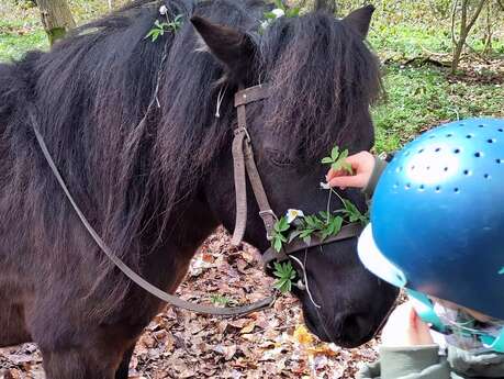 Stage poney de pleine nature