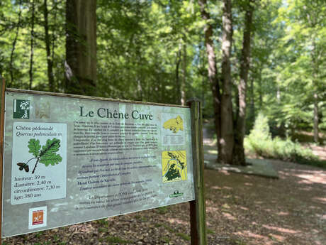 Le Chêne Cuve