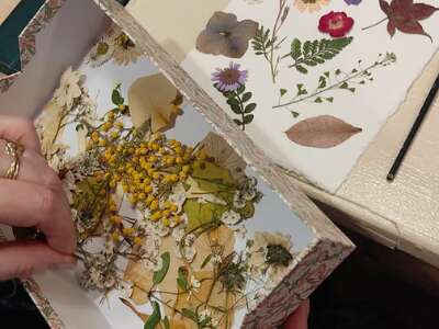Atelier herbier