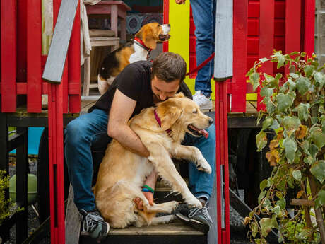 Week-end avec son chien