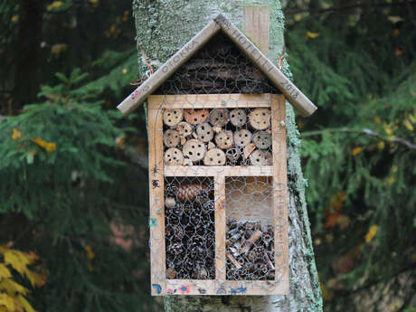 Création d'hôtels à insectes et de nichoirs à oiseaux