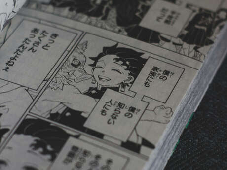 Atelier Manga "Faire découvrir l'illustration"