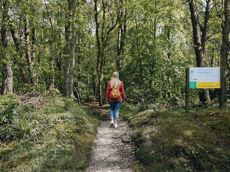 [Sortie nature] Trésors cachés