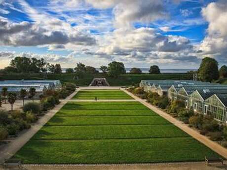 Découverte des oiseaux des jardins