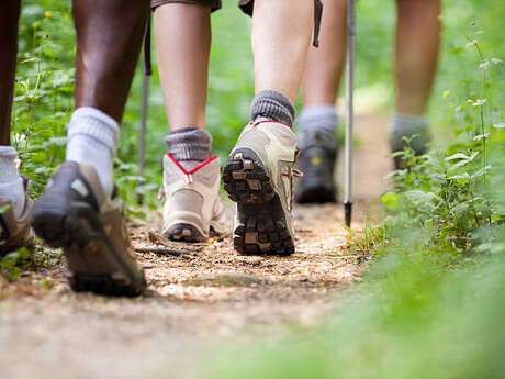 Randonnée à Serqueux