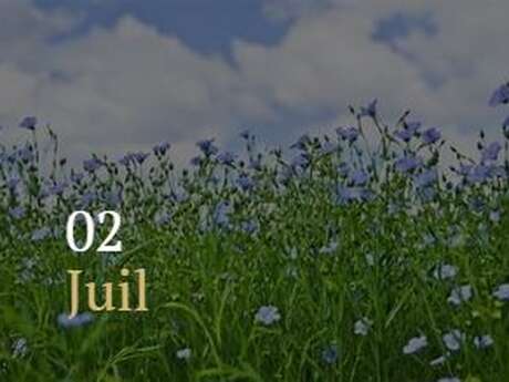 Carnet de voyage au Festival du lin