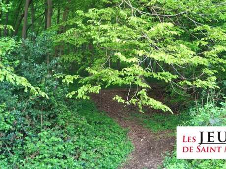 Le son des arbres - Jeudis de Saint Maclou