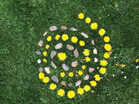 [Sortie nature] Land-Art en Forêt d'Arques