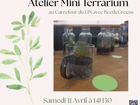 Atelier Mini Terrariums