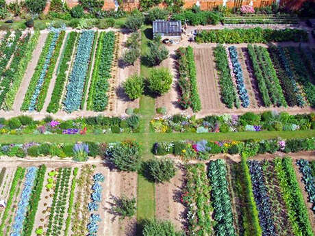 [Atelier famille] Atelier culinaire de printemps